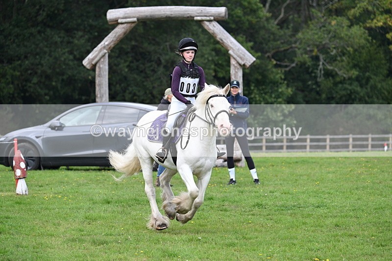 WJ7_4358 - 60cm Time 10:52 to 11:02