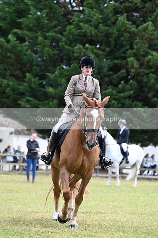 WJ7_9272 - Class 8 Ridden Veterans