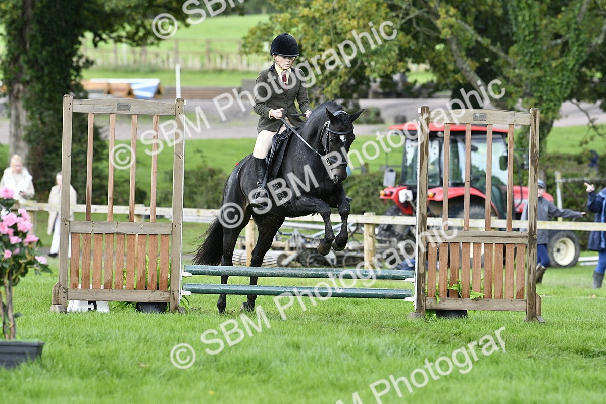 SBM_41507 - S32 - Mountain & Moorland Working Hunter Pony