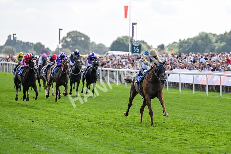 220826-Race 1-Archivist-9223 - Race 1 13.50pm Sky Bet Strensall Stakes