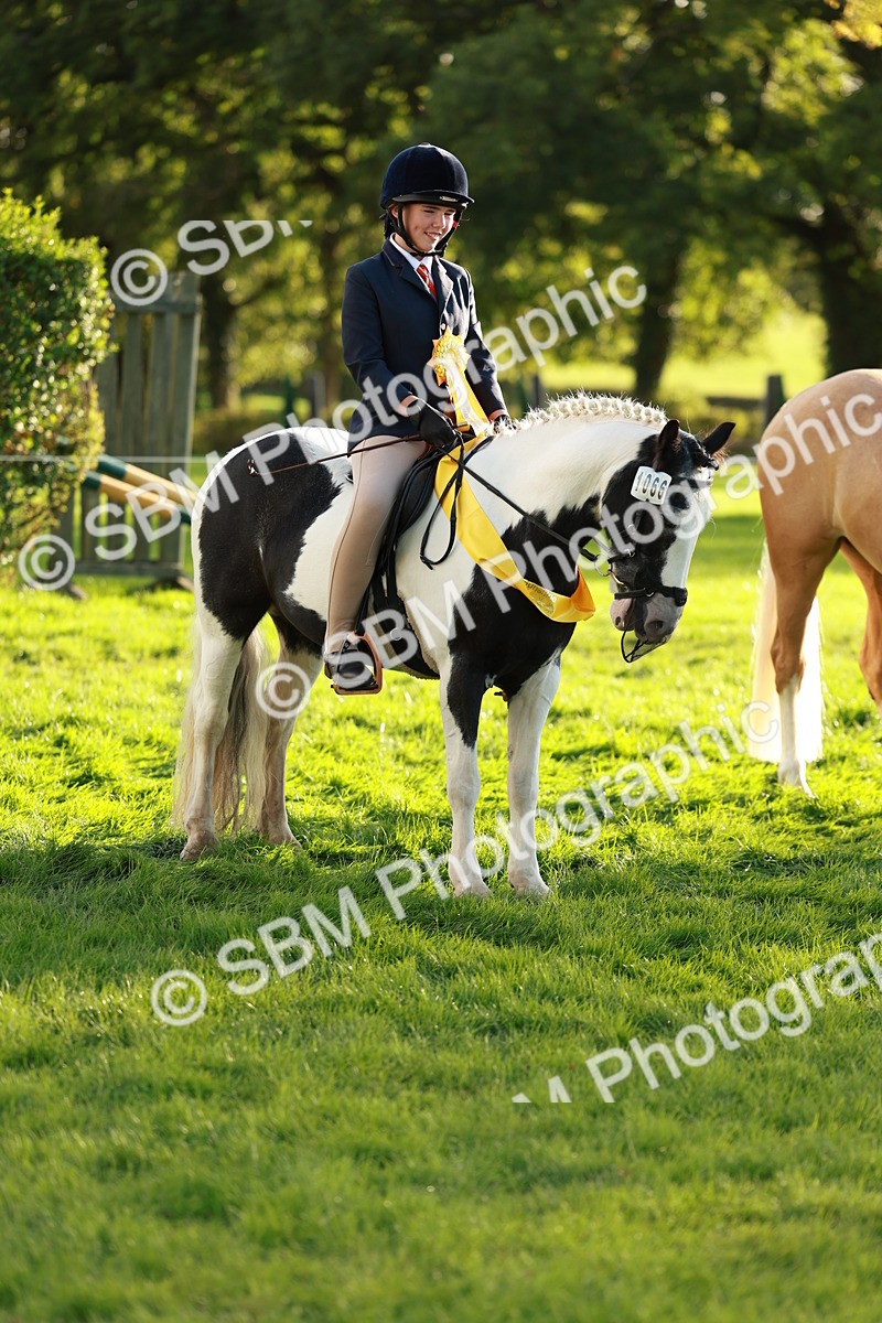 SBM_29309 - Novice & newcomer Supreme Championship