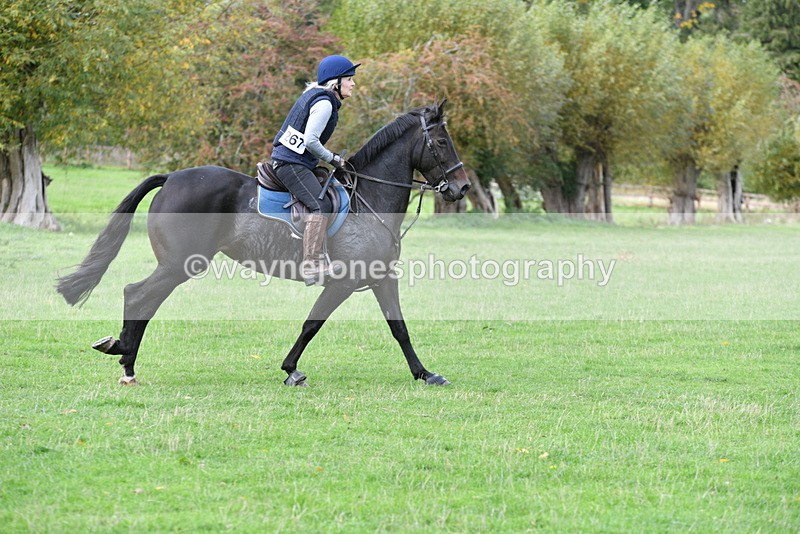 WJ5_0187 - Time 13:25 to 13:58