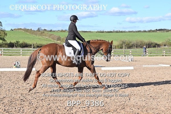 BPP_9386 - LONG ARENA