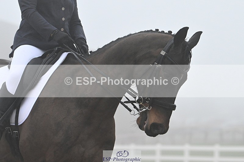 240217A-151041-03817 - 177-Julia.Suarez-Lauries.Next.Crusade