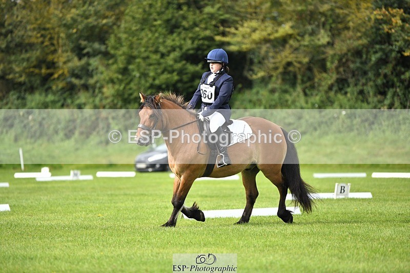 230826-100930-15380 - Sections C & D 10 to End