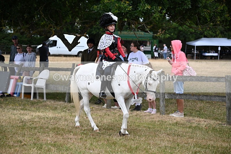 WJ6_4618 - Class 11 Fancy Dress