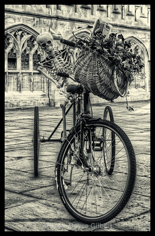 Skeleton riding a trike... - Miscellaneous