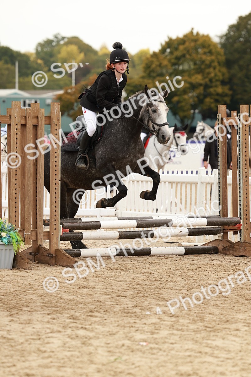 SBM_57595 - J11 - Junior Pony 50cm Championship