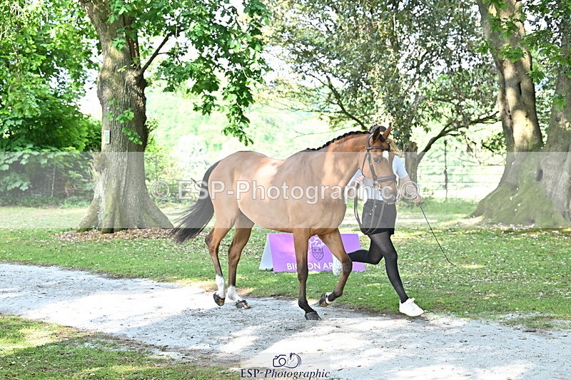 250521A-163750-01246 - C-234-Cosby.Green-ILLICO.DE.LESQUES.AA