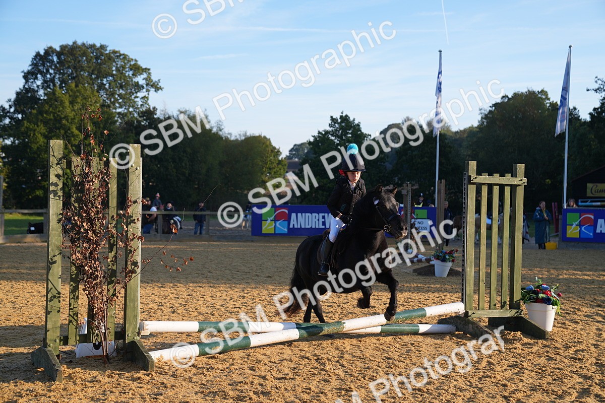 SBM_58913 - J63 - Minis Clear Round 30cm 40cm