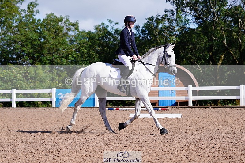 240809A-091712-00198 - Dressage Competition