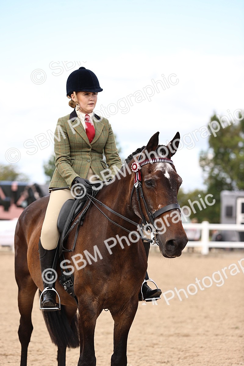 SBM_12951 - Class 410 - Grassroots Ridden - Horse