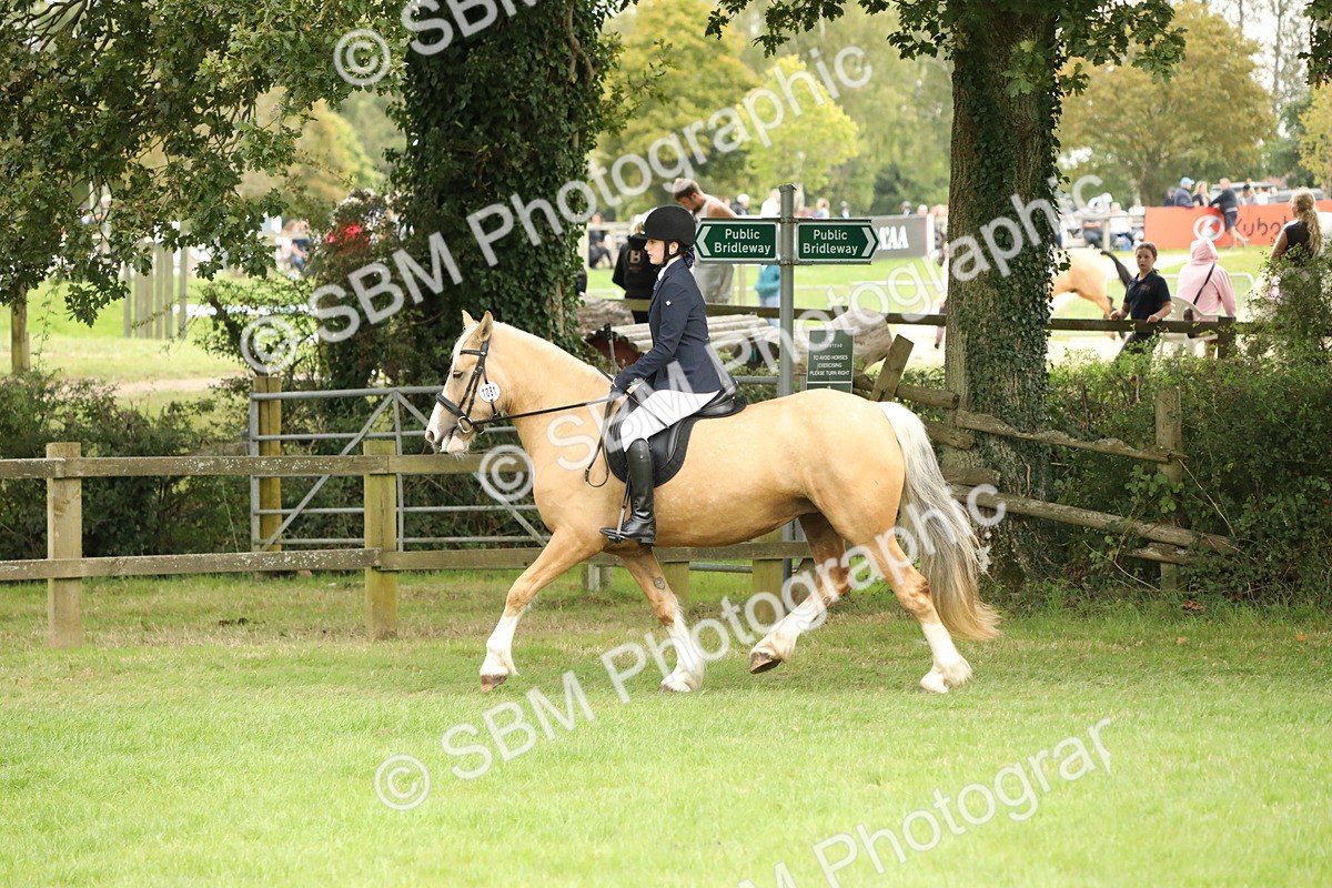 SBM_73708 - S41 - Ridden Equitation (Best Rider)