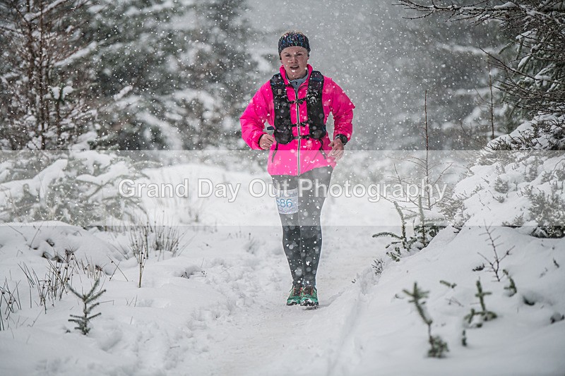 Glentress-2054 - High Terrain Events Glentress 42, 21 & 10K Trail Races Sunday 15th February 2026