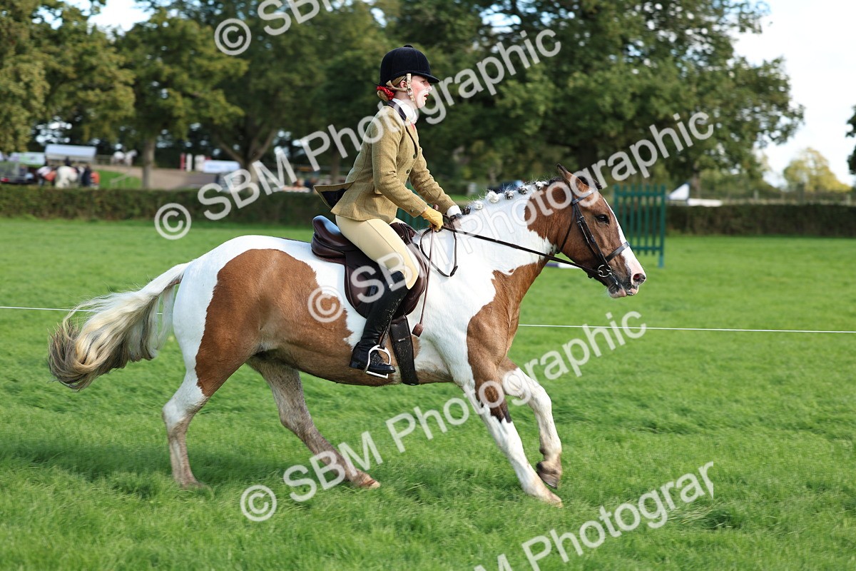 SBM_45492 - S33 - Working Hunter Pony