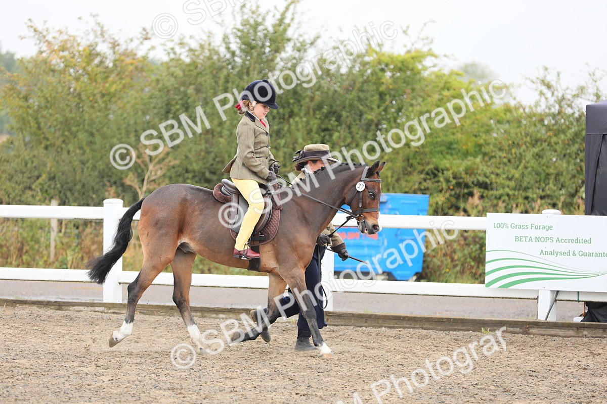 SBM_21735 - Class 806 - Young ridder 10 Yr & Under