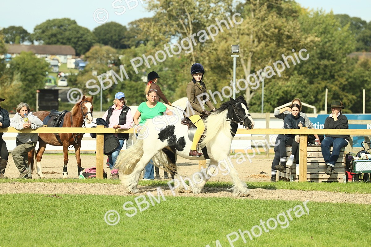 SBM_68906 - S58 - Mini Show Cob Ridden