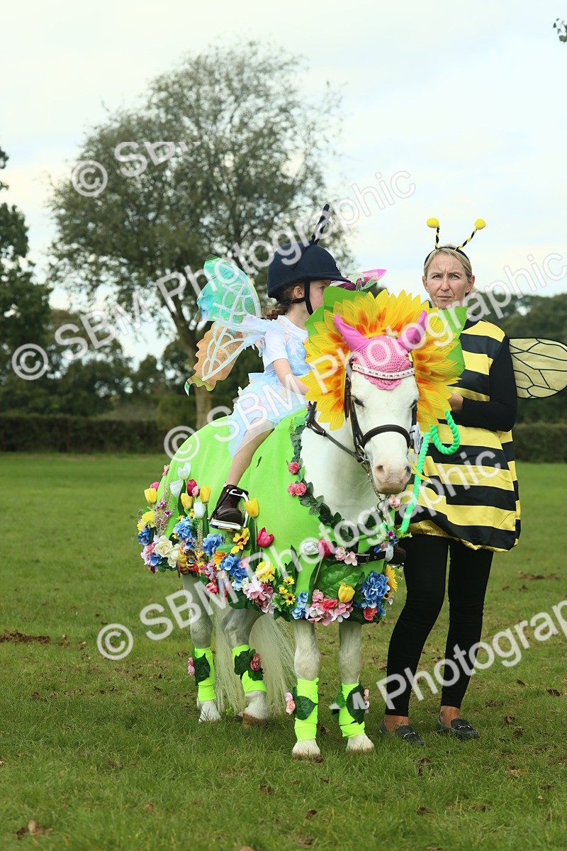 SBM_63670 - S35 - Fancy Dress Showing