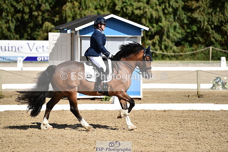 140110A-050722-12383 - 158-Alison.Crimp-Crwys.Beau