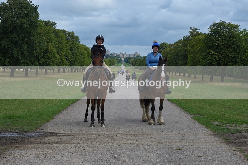 TT3_9136 - Time at Crossing 09:22 to 11:26