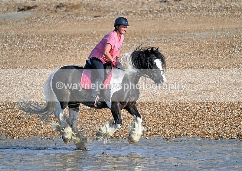 WJ7_3815_1 - Kellie & Churchill ... do Hayling Island 25-08-24