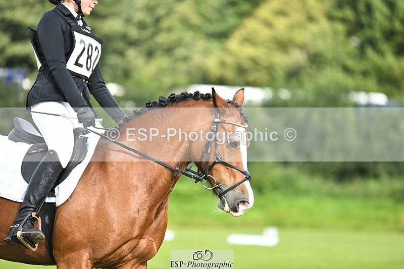 230826-094437-15218 - Sections C & D 9 to 10am