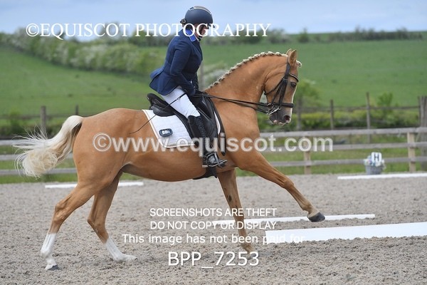 BPP_7253 - 3 D HARRISON
