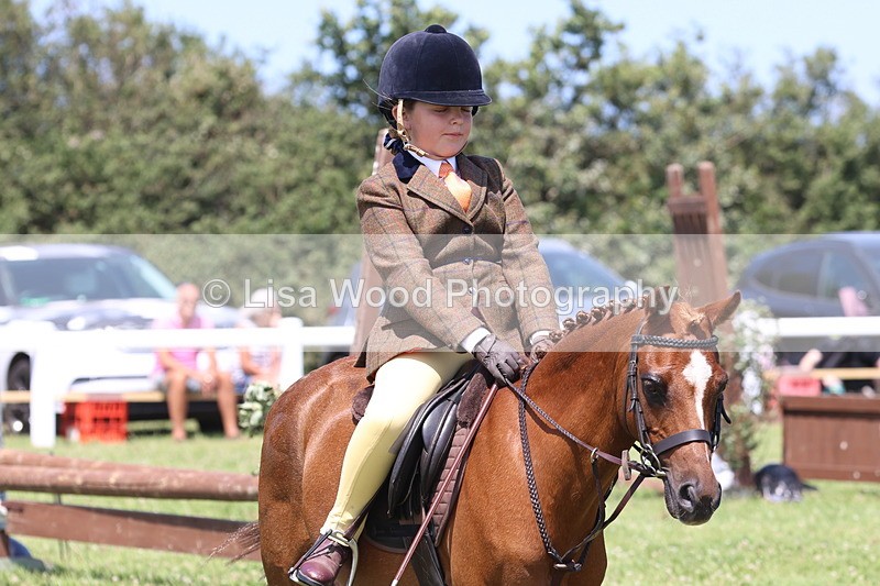 JPP_2349 - Class 20: Tiny Tots Working Hunter Pony