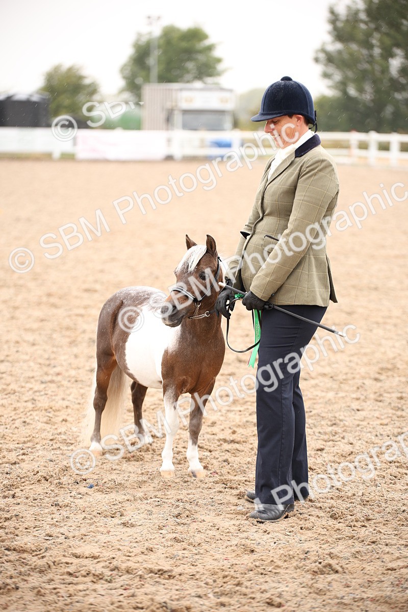 SBM_20229 - Class 703 - IH  Coloured