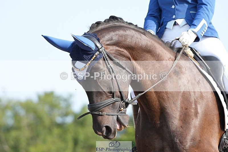 250815-092938-00114 - 002-Katie.PowellSantonio