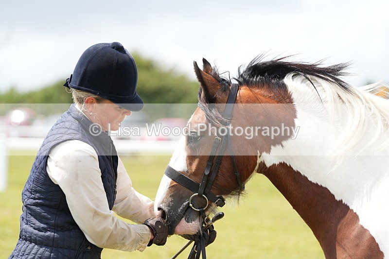 DSC06749 - Class 58: Coloured Pony Youngstock