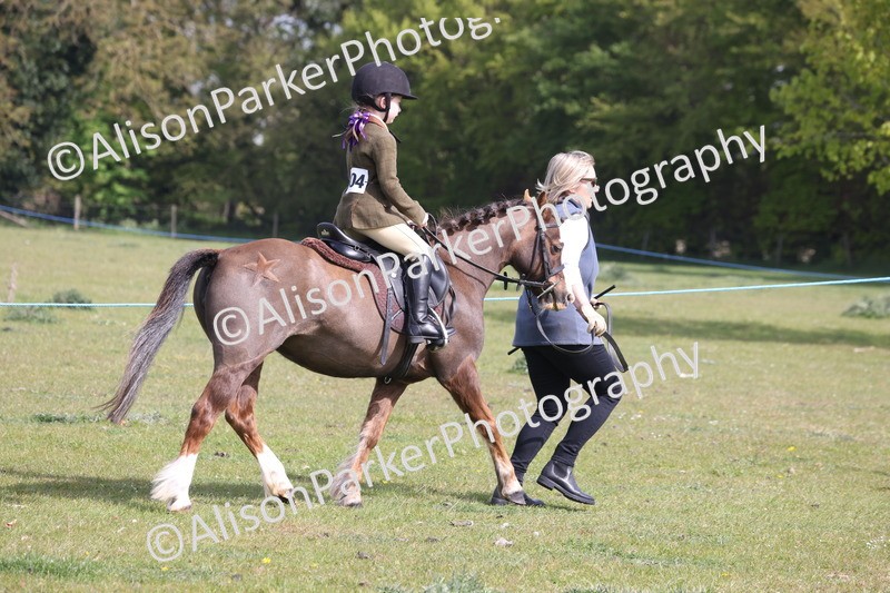 20260426-0589 - Class 31 - Leading Rein