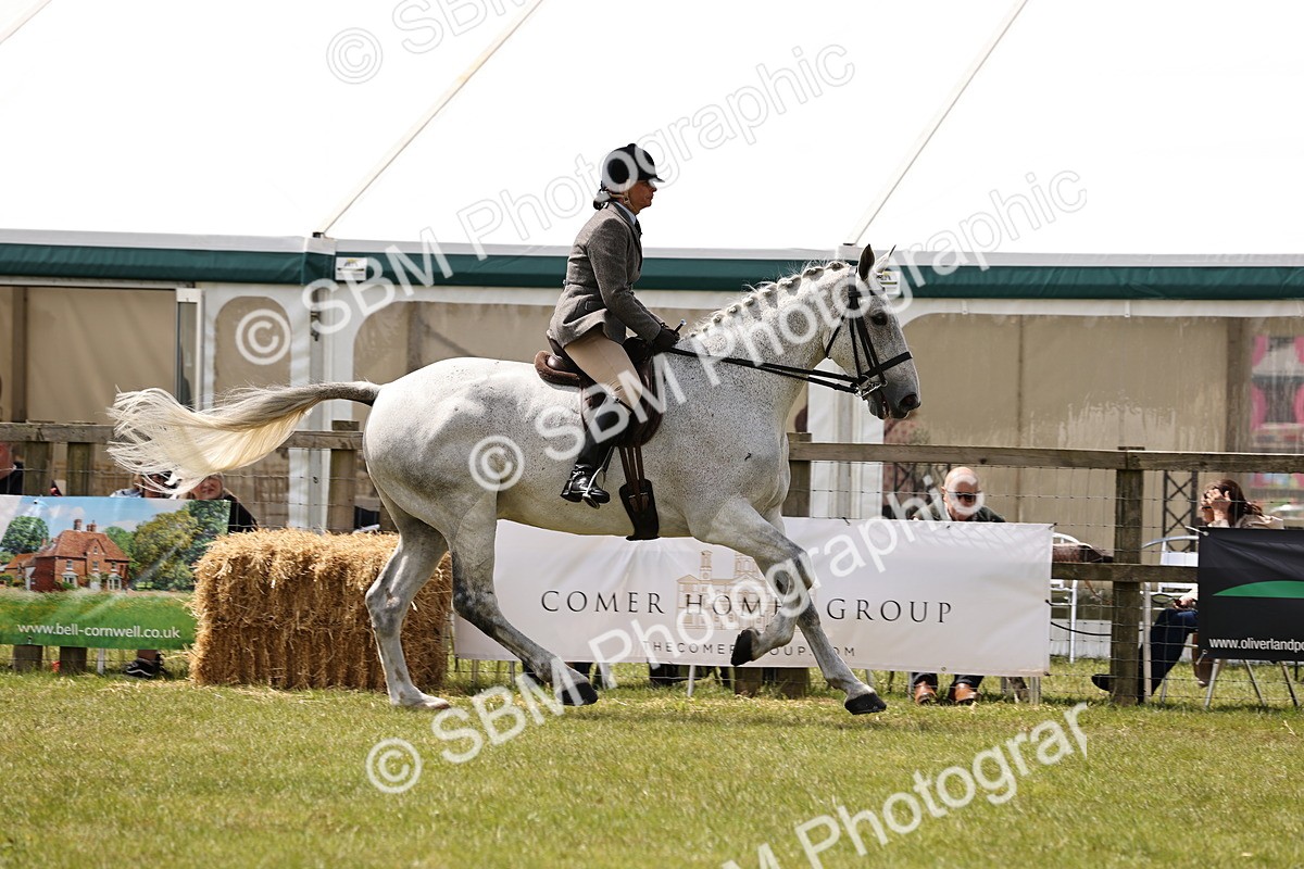 SBM_14697 - Class 88-89 - LIHS BSHA Rising Star of Ridden Hunter Type