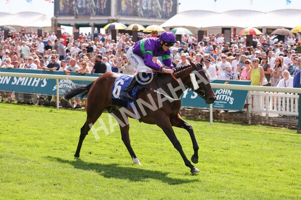 yr09072022r4-19 - Race 4 3.30pm John Smith's Nursery Stakes