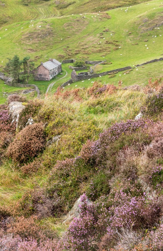 Fairytale House - Distant Hills