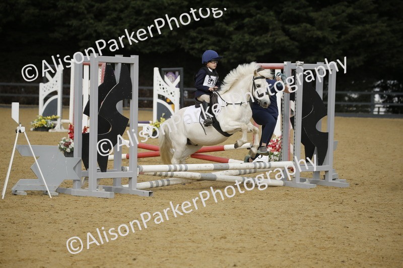 20250622-1310 - 40cm