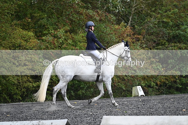 WJ7_6579 - Time 14:49 to 15:14