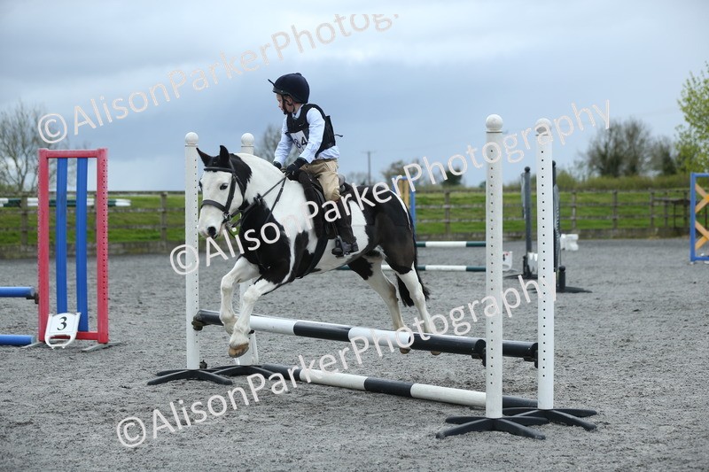 20260412-1843 - Show Jumping