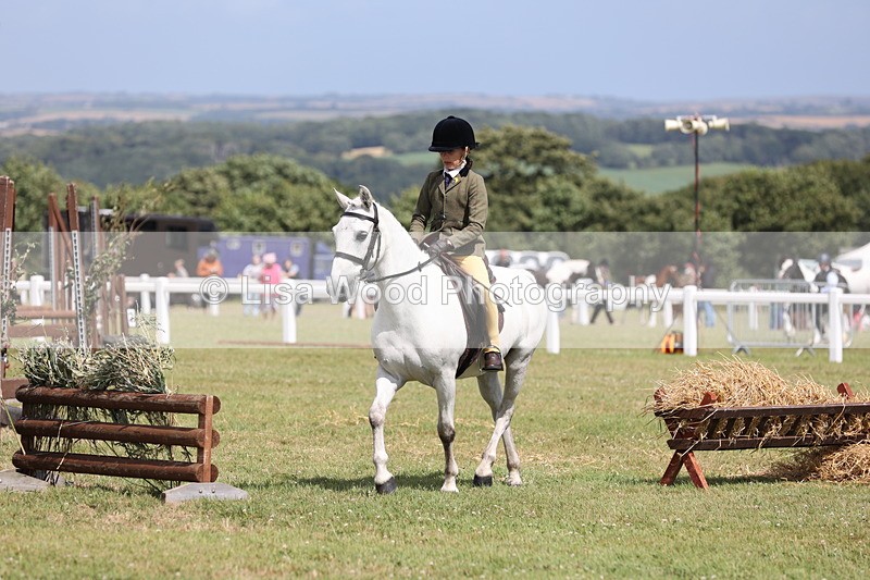 JPP_2092 - Class 19: Working Hunter 60cm