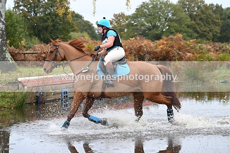 WJ7_2720 - 90cm Cam 2 Water Time 13:05 to 13:27