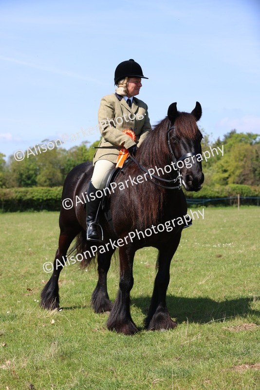 20250427-2522 - Class 19 - Mini Working Hunter