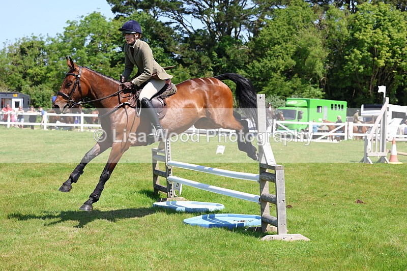 3E7A6979 - Class 30: Novice Working Hunter