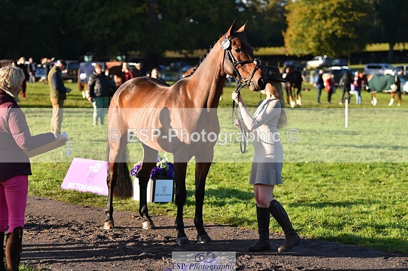 231022-092340-21752 - 617-MR.MISCHIEVOUS-Megan.Brown-TrotUp+SJ