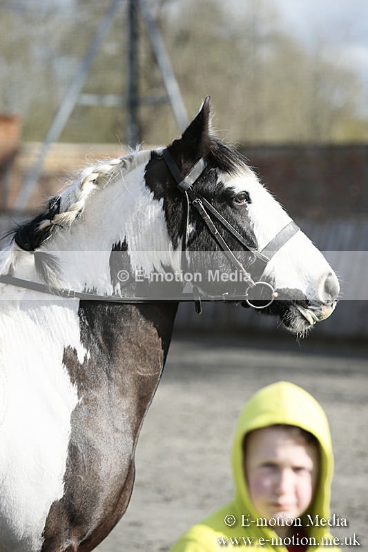 BVRC SJ 170319 66 - Bourne Valley Riding Club Showjumping 17/03/19