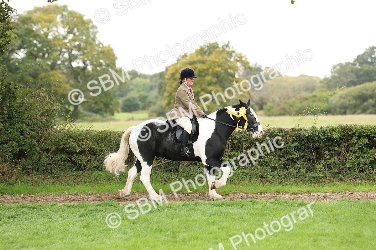 SBM_67337 - S67 - Piebald & Skewbald Horse Ridden