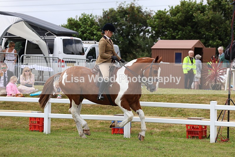 3E7A1910 - Class 10: Open Cob