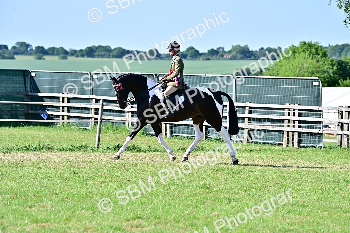 SBM_19588 - Class 101-102 - BSPS LIHS Performance Coloured Horse/Pony