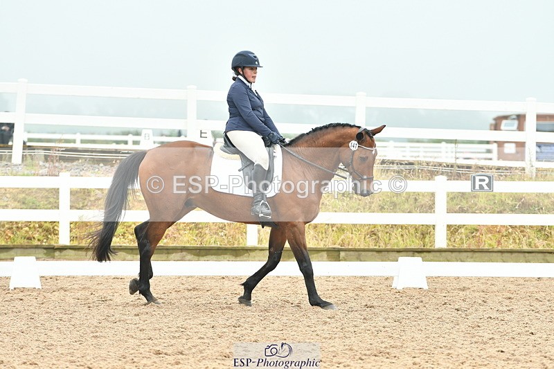 230708A-143229-02929 - Elementary 43