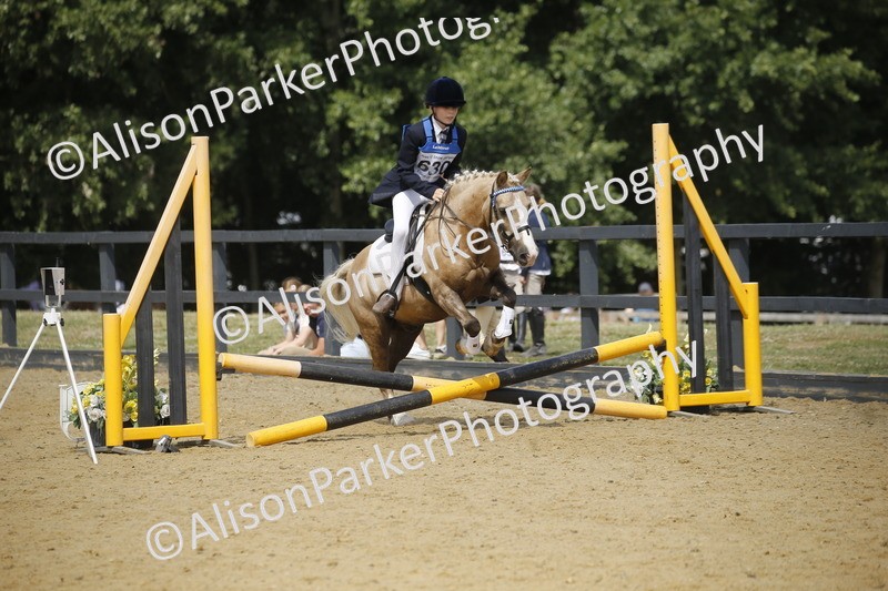 20250622-3929 - 50cm