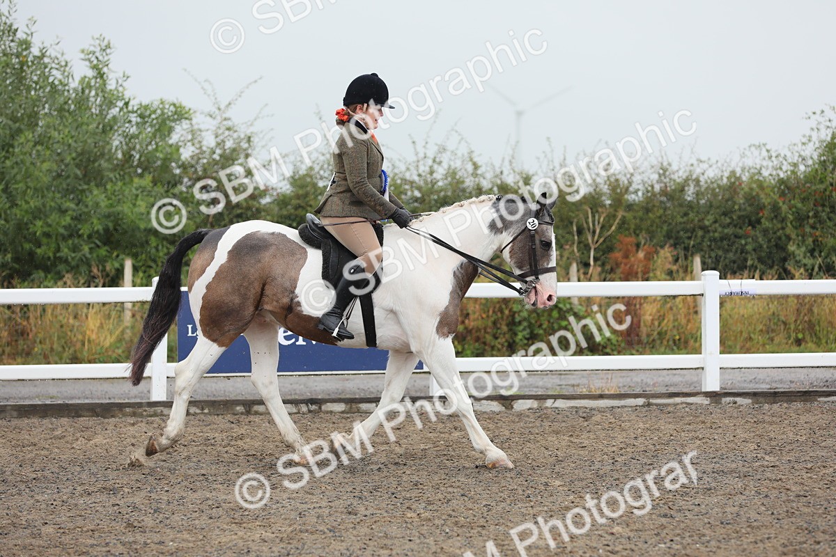 SBM_20653 - Class 804 - Ridden Veteran Pony